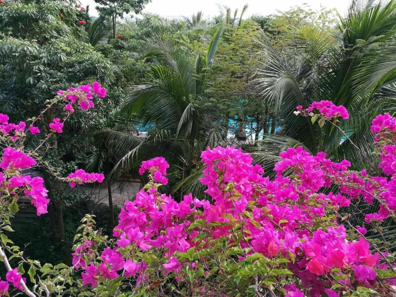 Stony Brook Villa Jianguo Resort Sanya Exterior photo